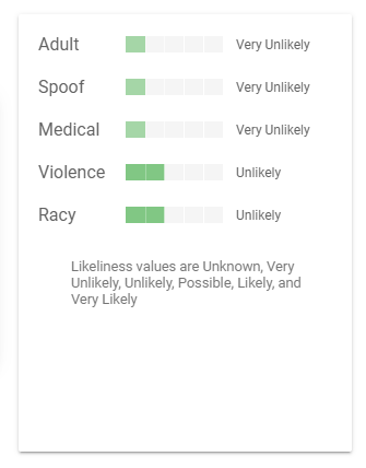 Google vision AI photo analyzer tag results